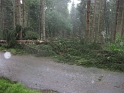 bild (5)